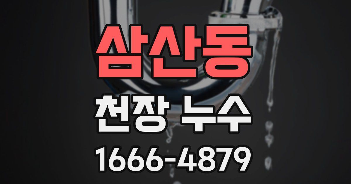 삼산동 천장 누수