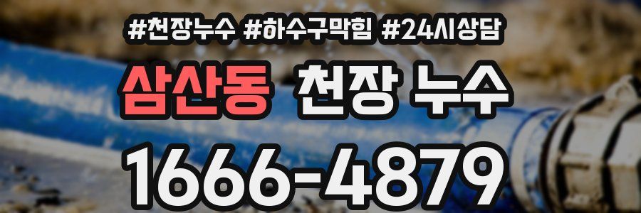 삼산동 천장 누수