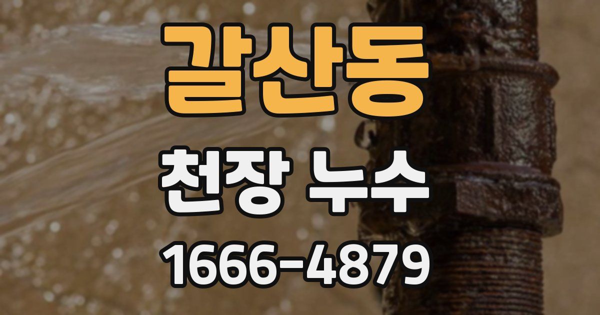 갈산동 천장 누수