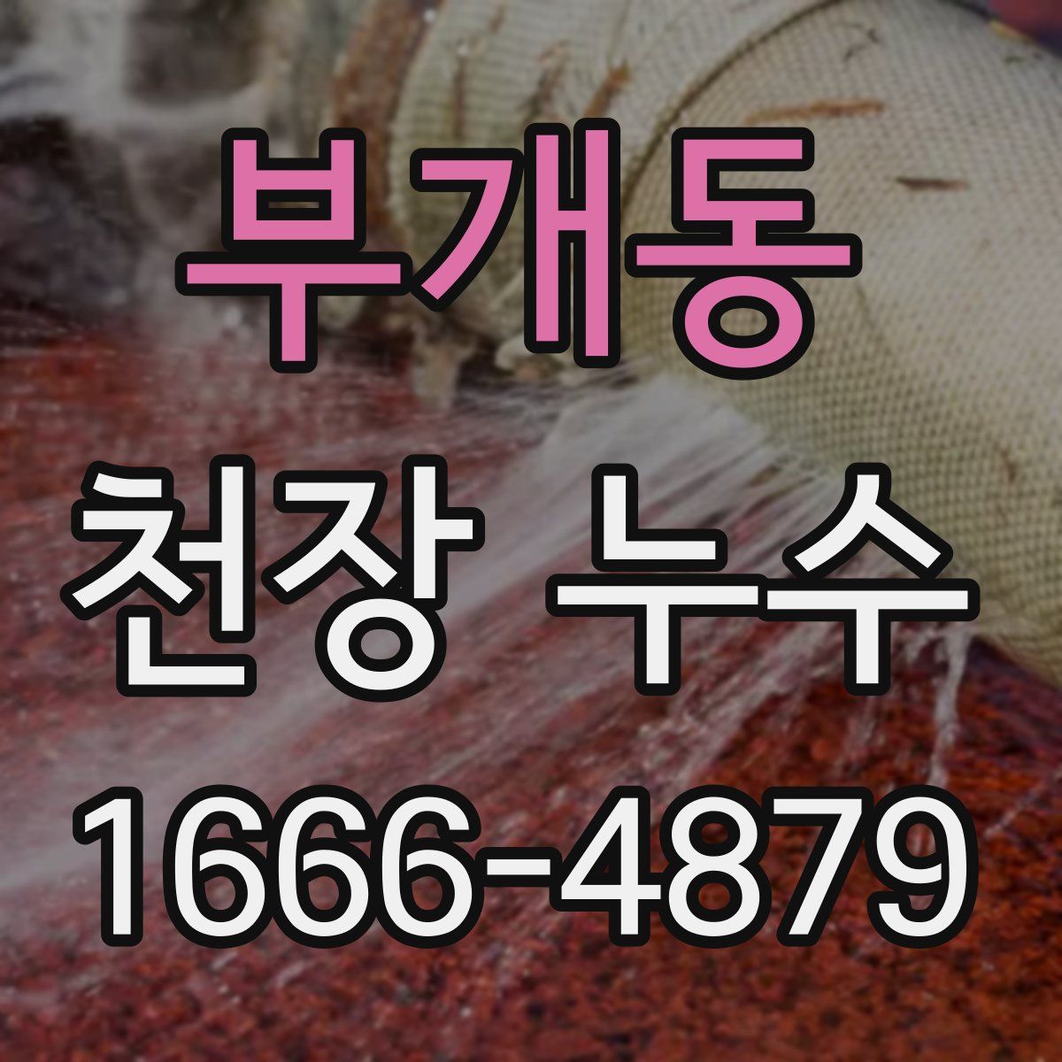 부개동 천장 누수