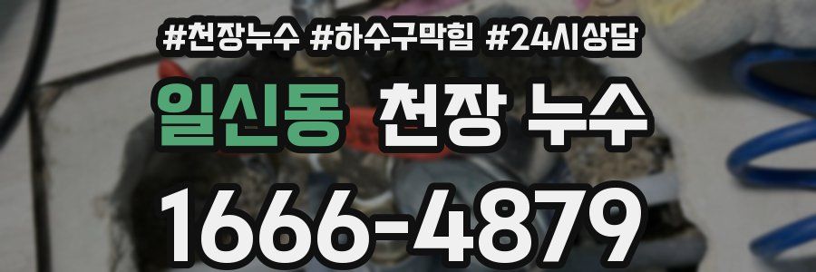 일신동 천장 누수