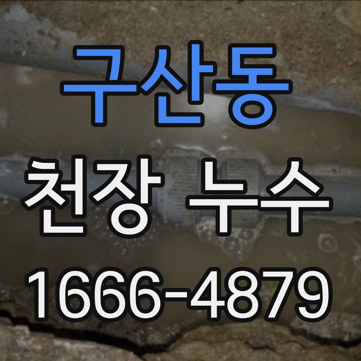 구산동 천장 누수