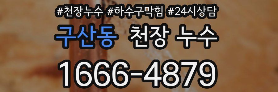 구산동 천장 누수