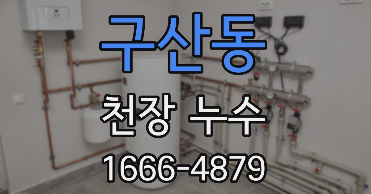 구산동 천장 누수