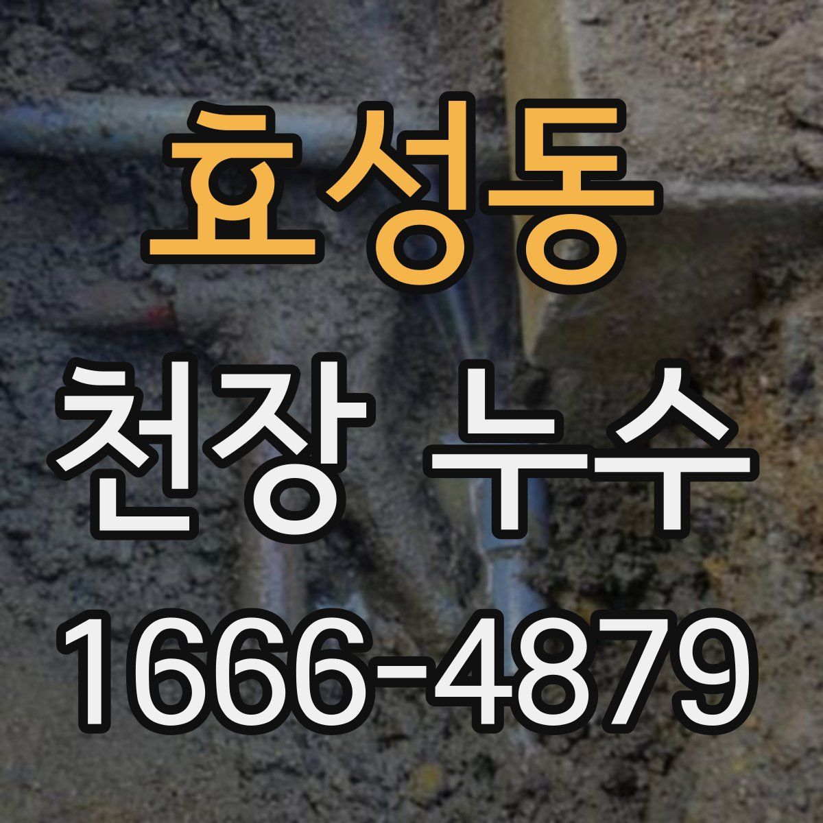 효성동 천장 누수