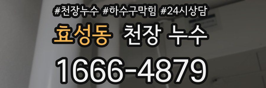 효성동 천장 누수