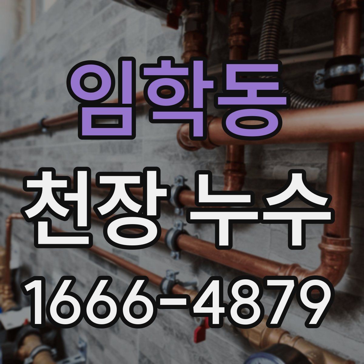 임학동 천장 누수 위층 베란다 물고임이 원인일 수 있습니다