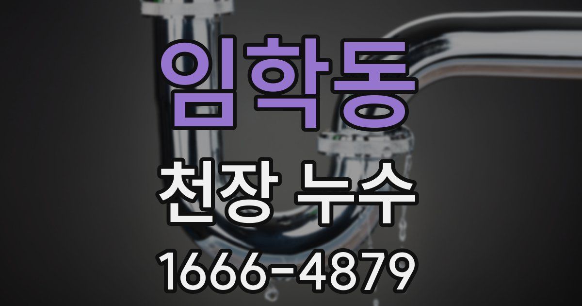 임학동 천장 누수