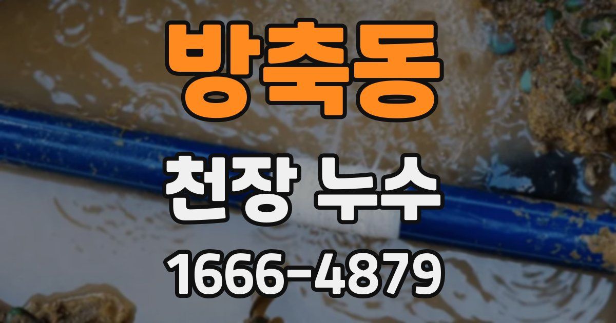 방축동 천장 누수