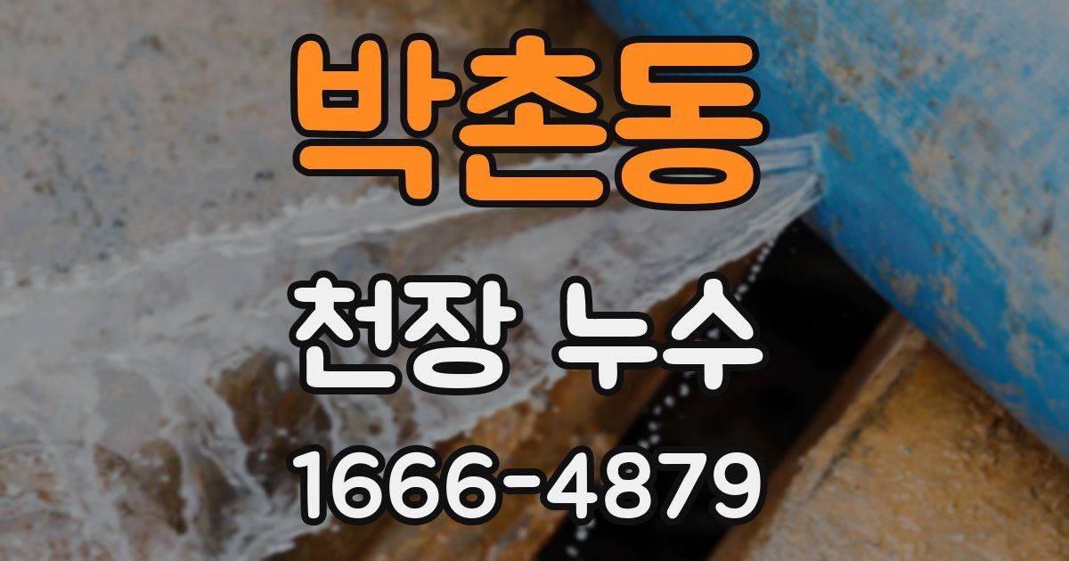 박촌동 천장 누수