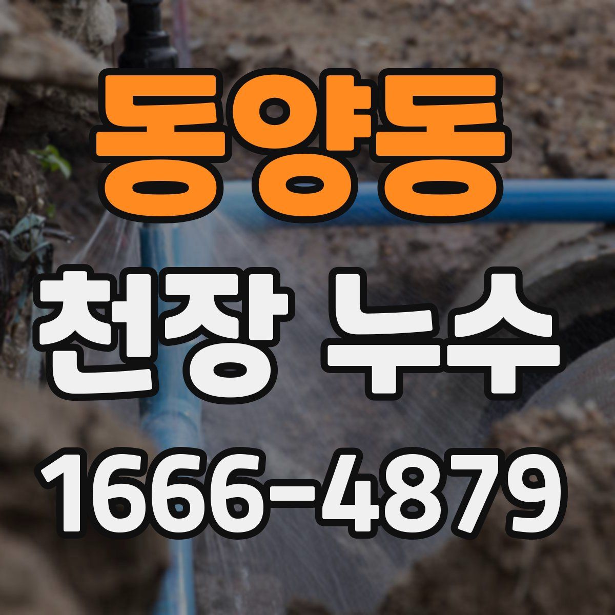 동양동 천장 누수