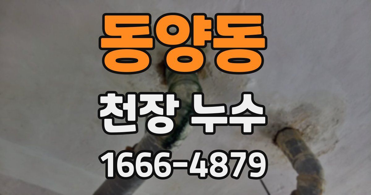 동양동 천장 누수