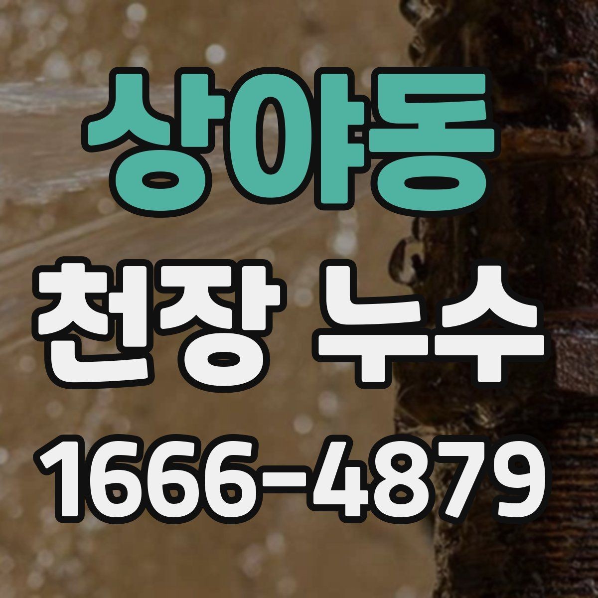 상야동 천장 누수 원인을 정확히 찾는 것이 먼저입니다