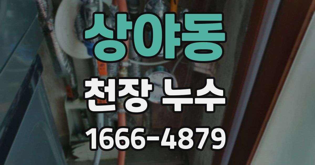 상야동 천장 누수