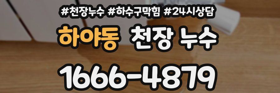 하야동 천장 누수