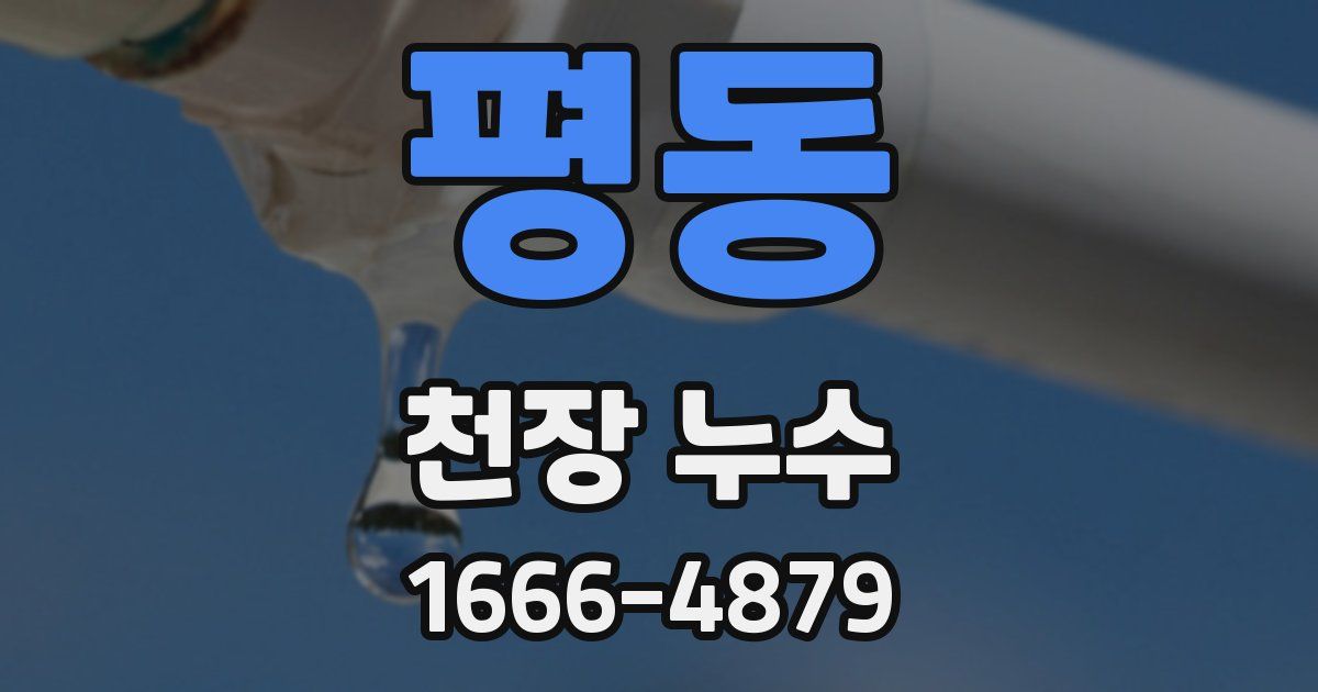 평동 천장 누수