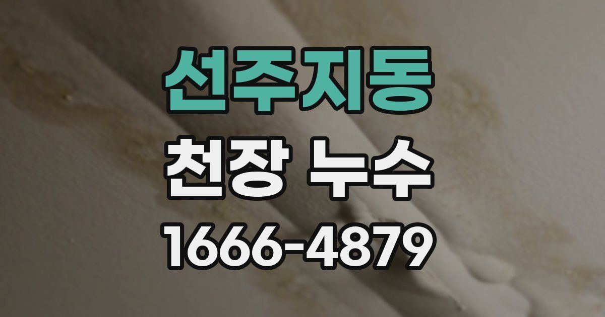 선주지동 천장 누수