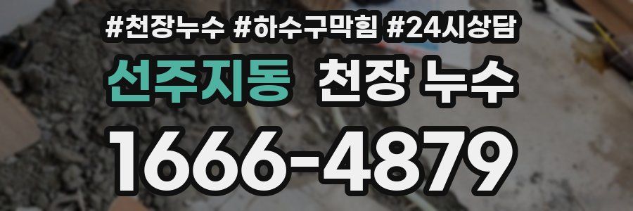 선주지동 천장 누수