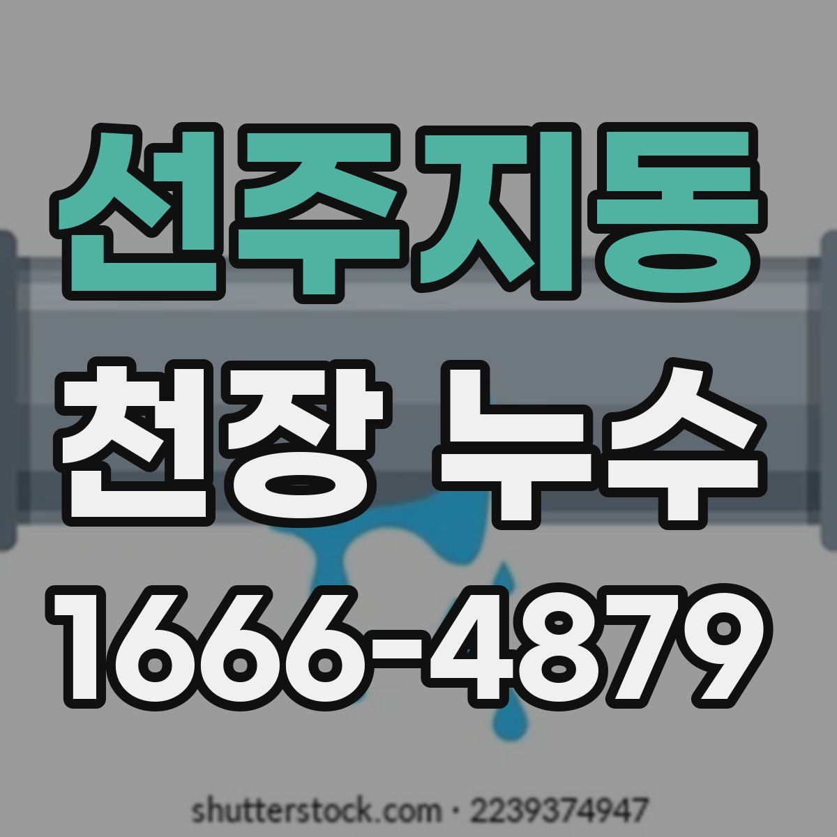 선주지동 천장 누수