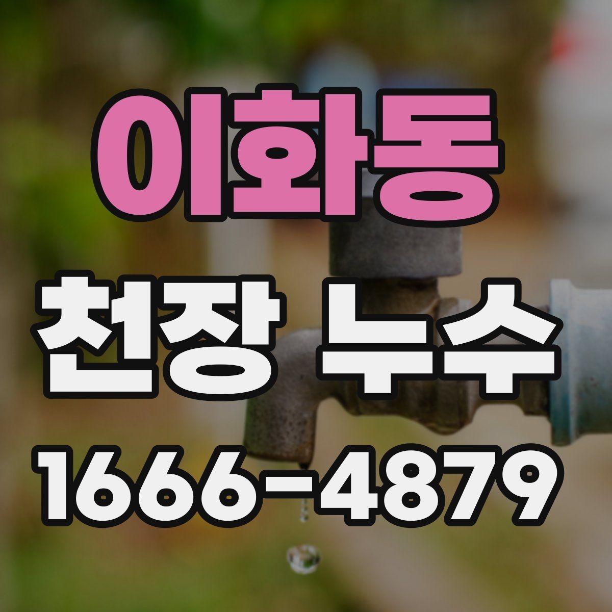 이화동 천장 누수 천장 주변이 눅눅하고 습도가 올라갔다면