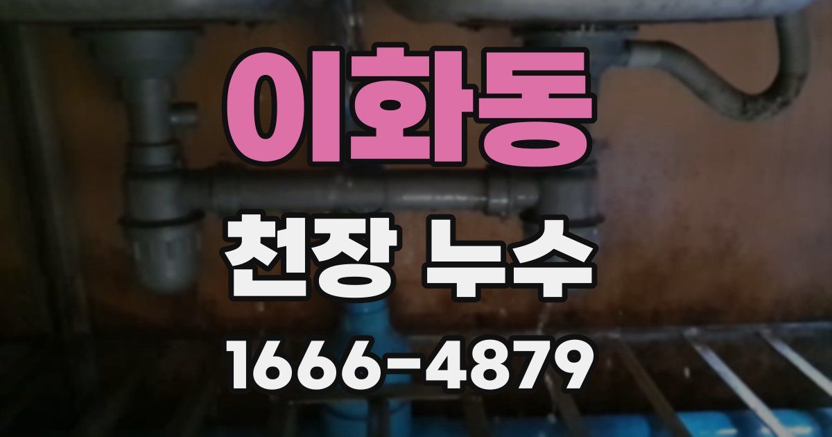 이화동 천장 누수