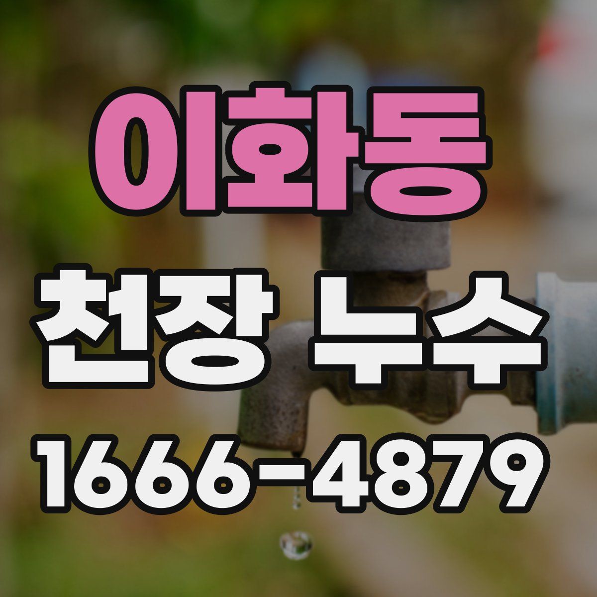 이화동 천장 누수