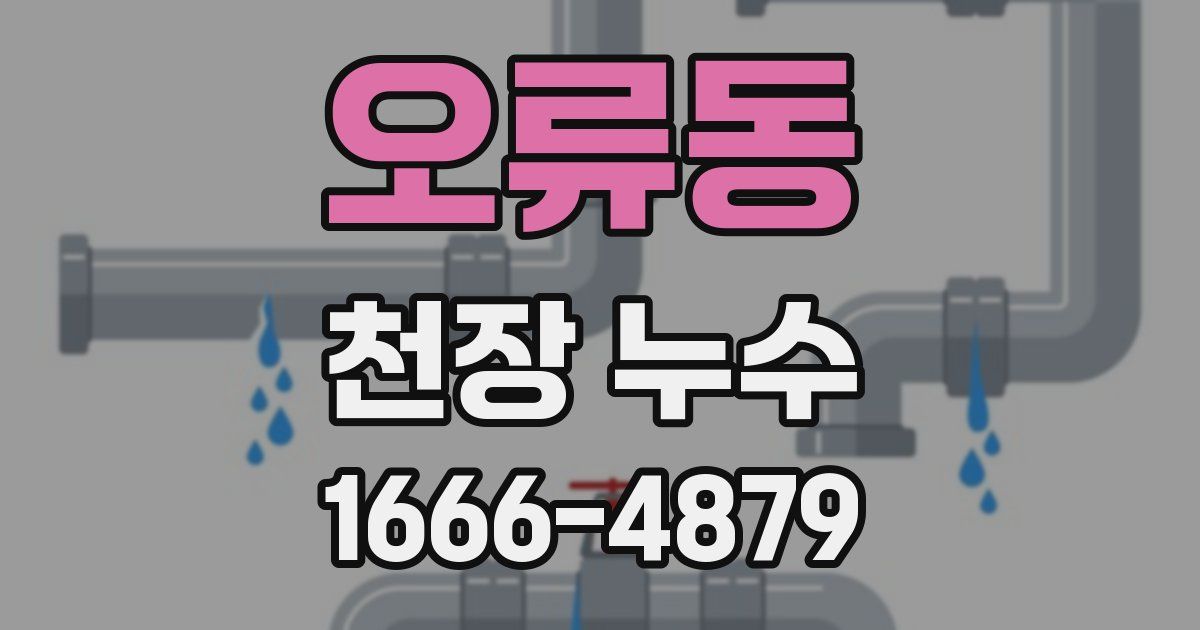 오류동 천장 누수