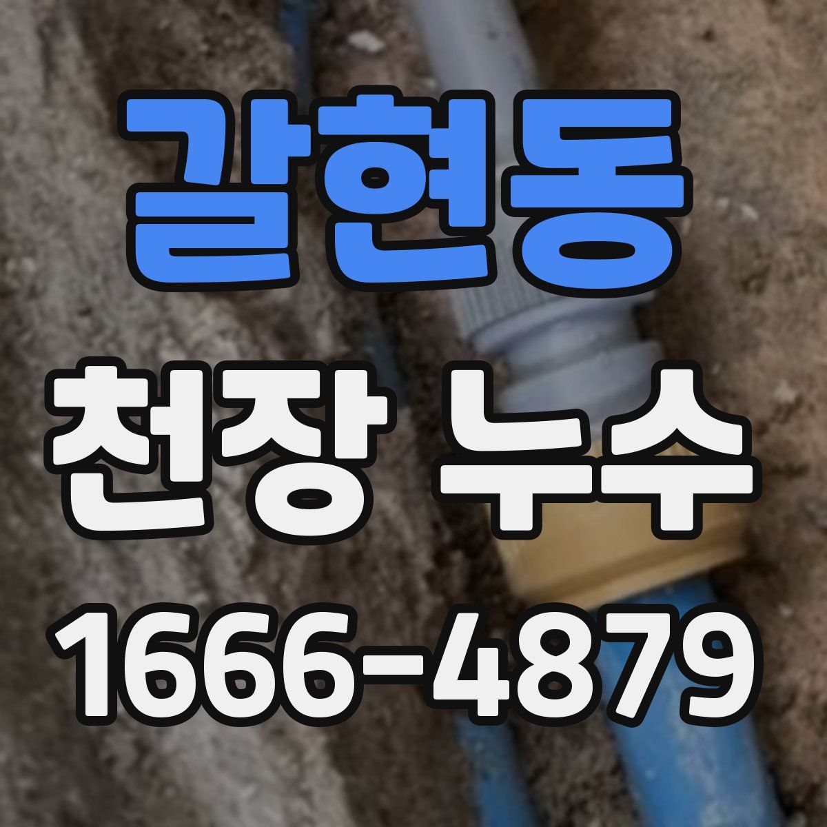 갈현동 천장 누수