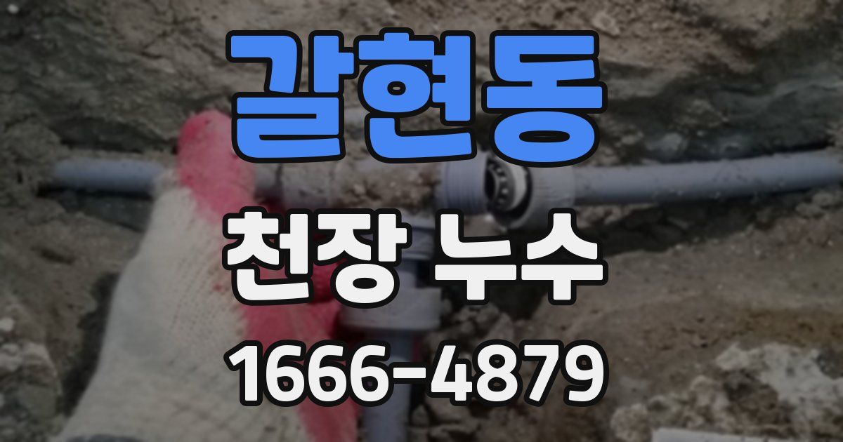 갈현동 천장 누수