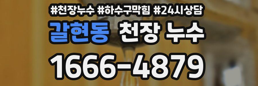 갈현동 천장 누수