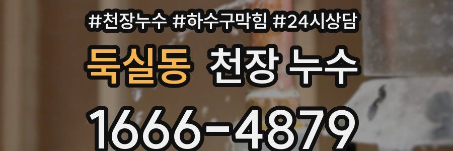 둑실동 천장 누수