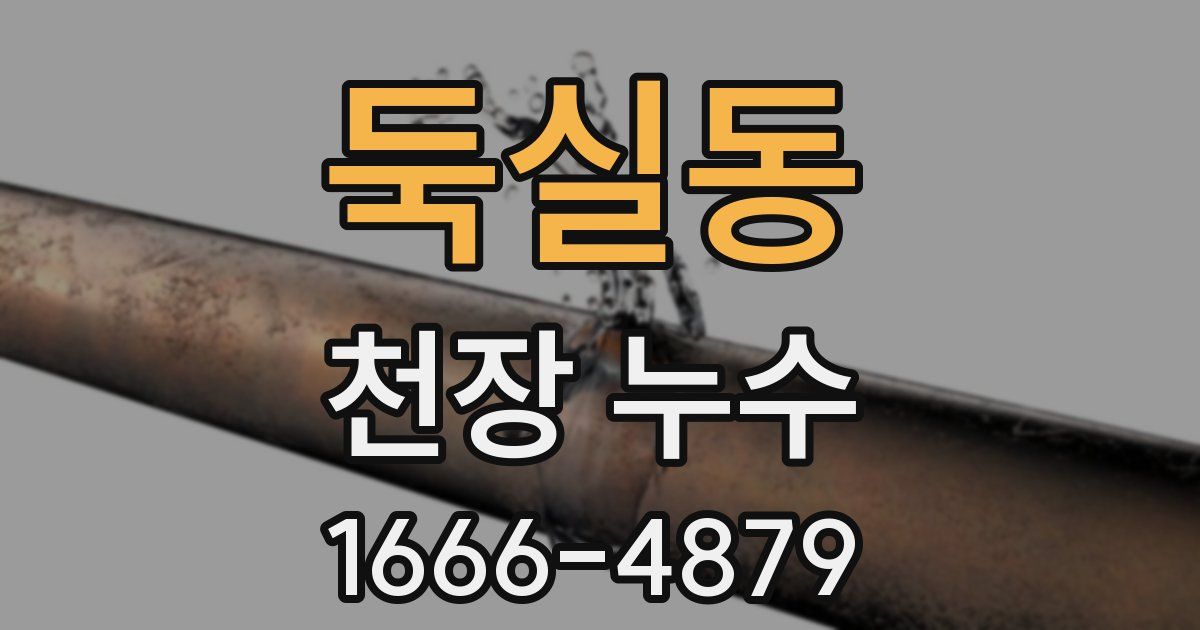 둑실동 천장 누수