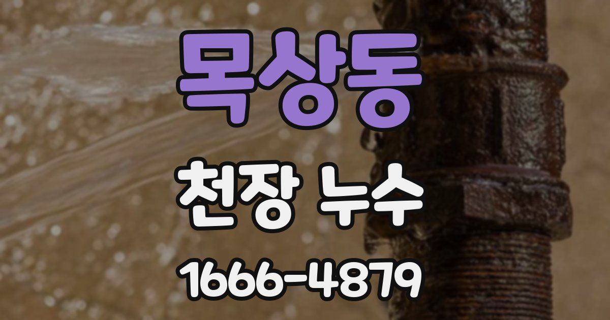 목상동 천장 누수