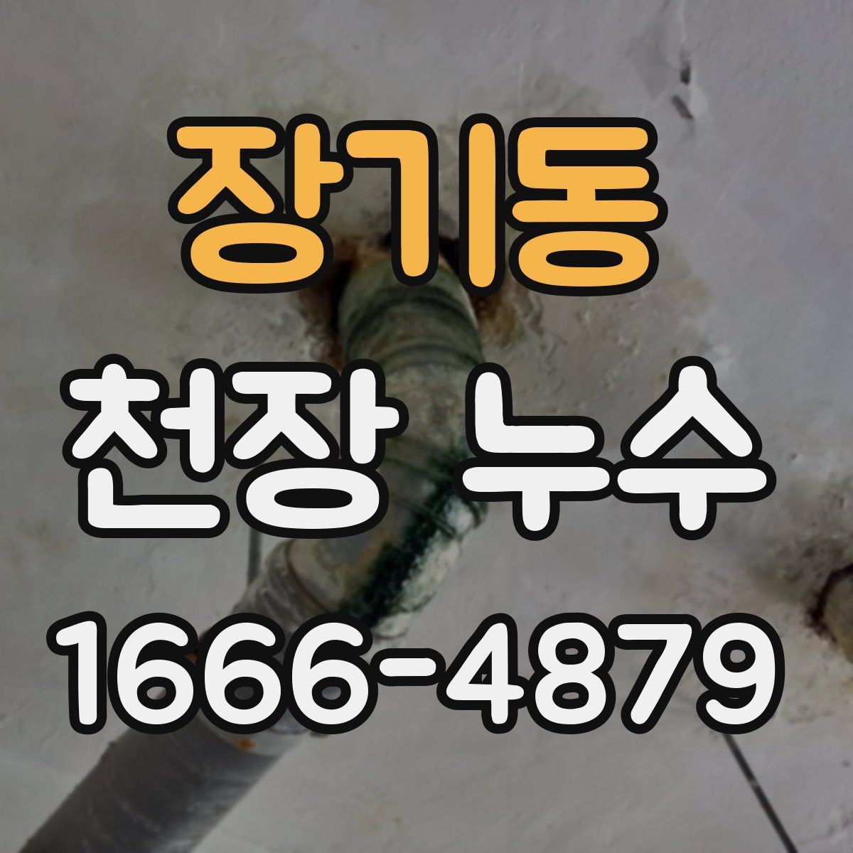장기동 천장 누수