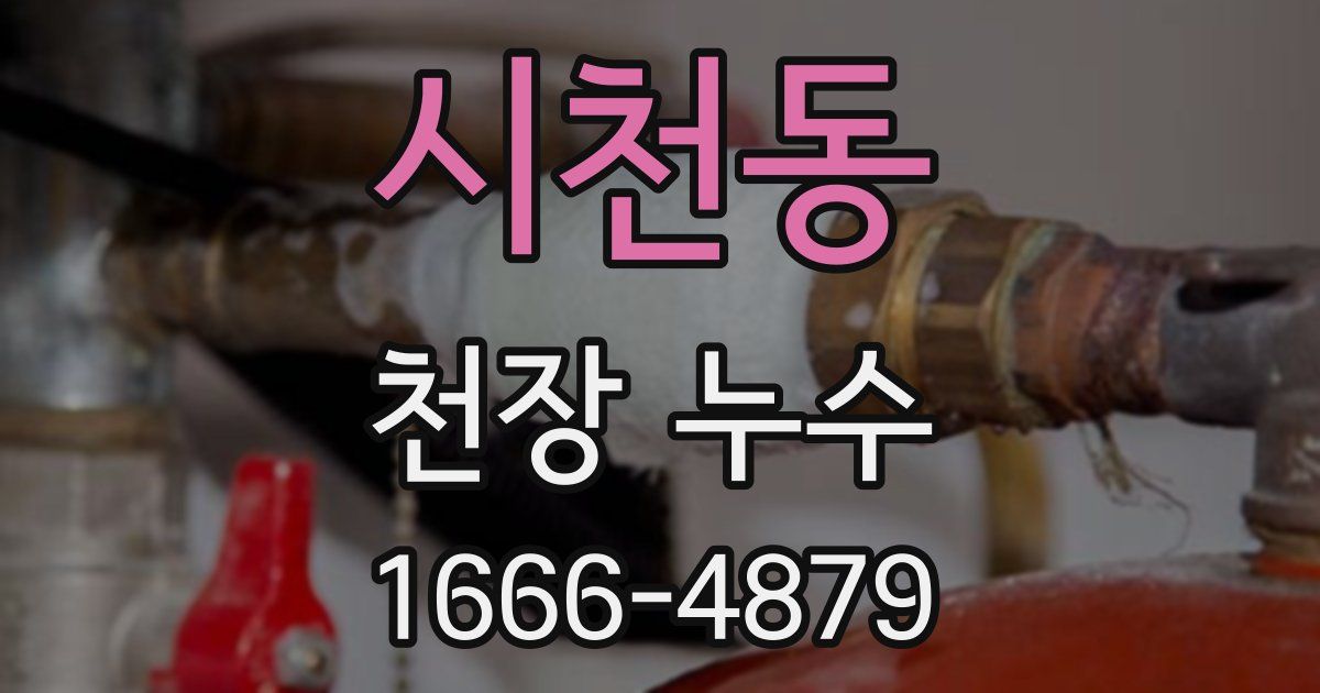 시천동 천장 누수