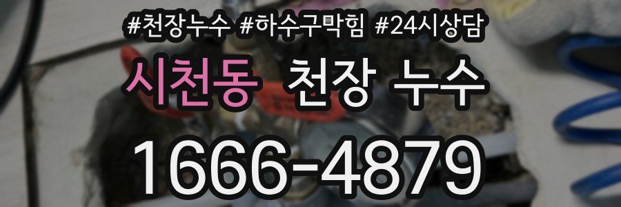 시천동 천장 누수