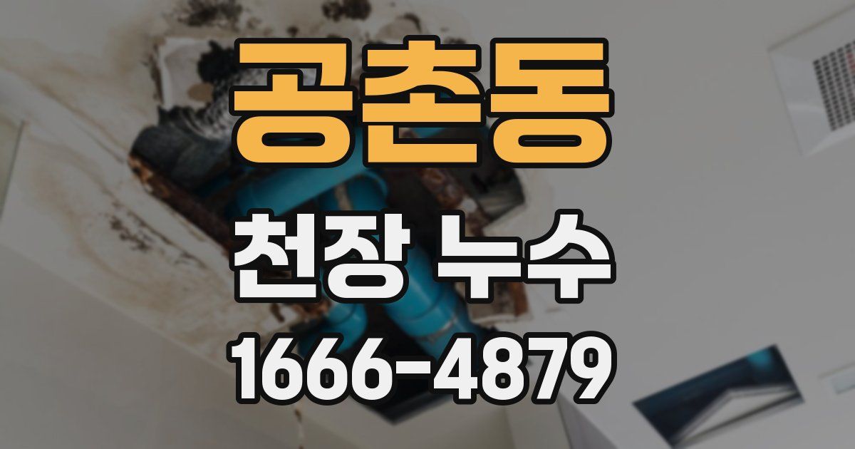 공촌동 천장 누수