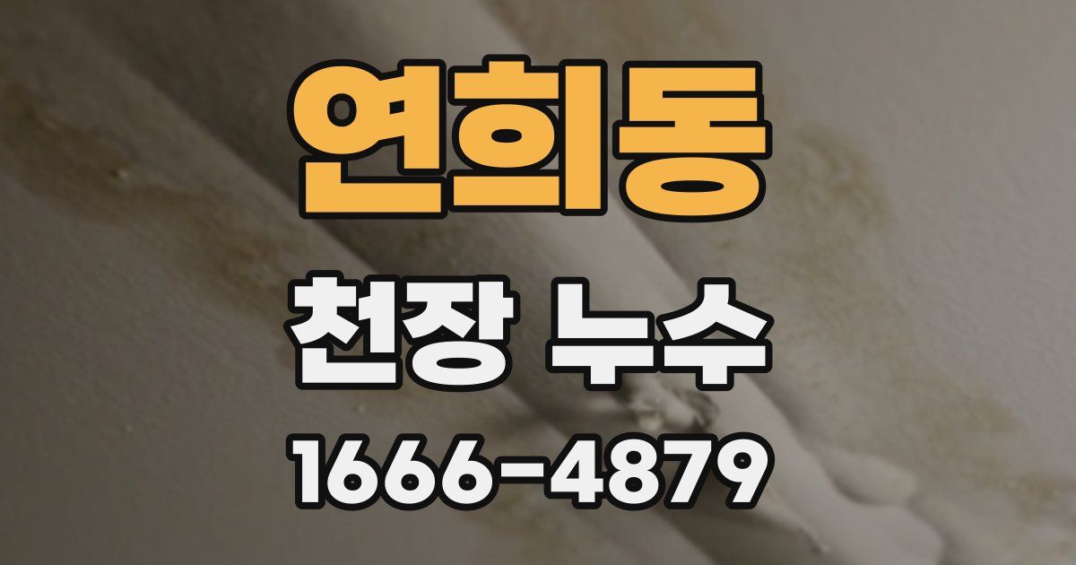 연희동 천장 누수