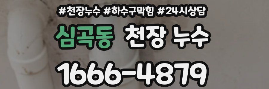심곡동 천장 누수