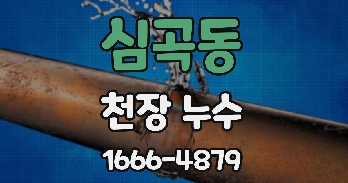 심곡동 천장 누수