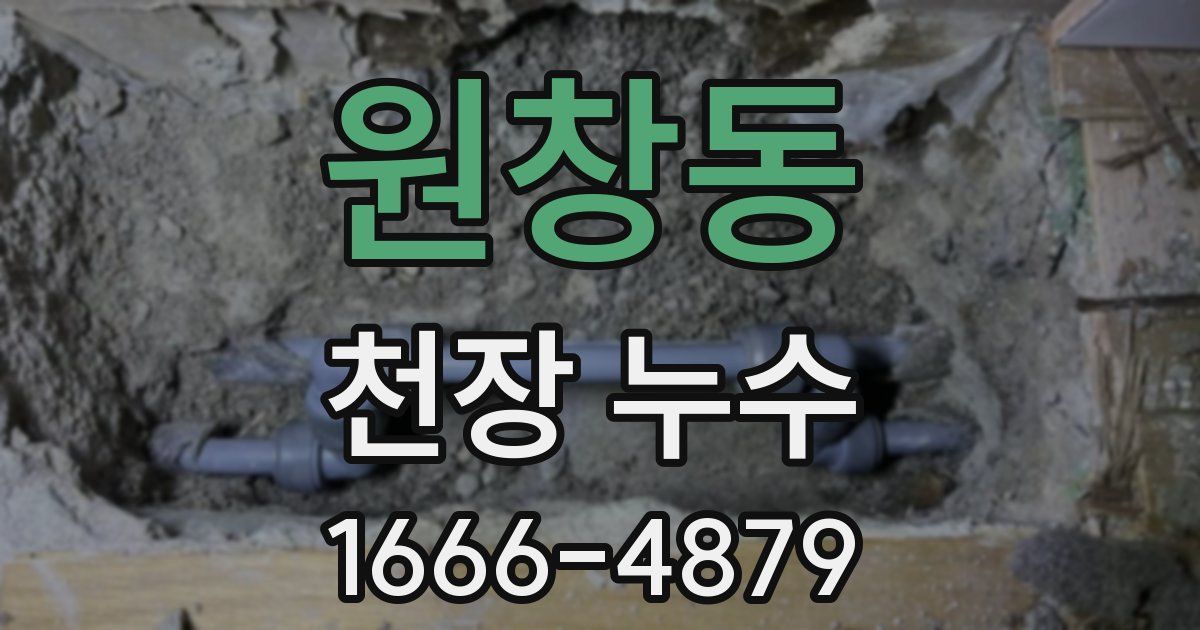 원창동 천장 누수