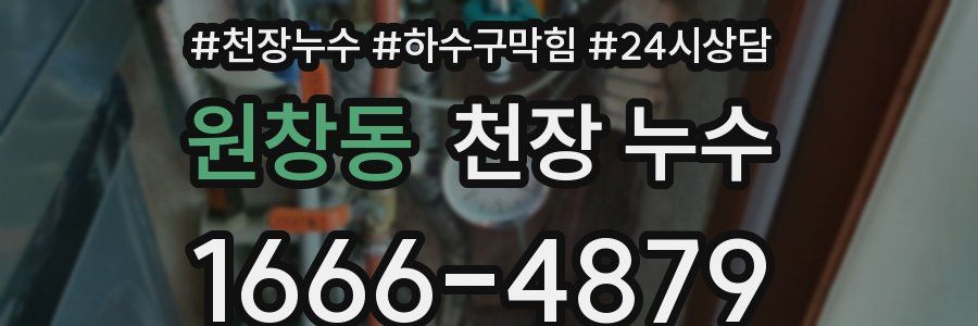 원창동 천장 누수