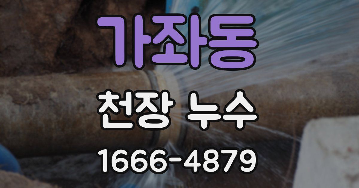 가좌동 천장 누수