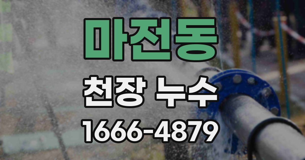 마전동 천장 누수