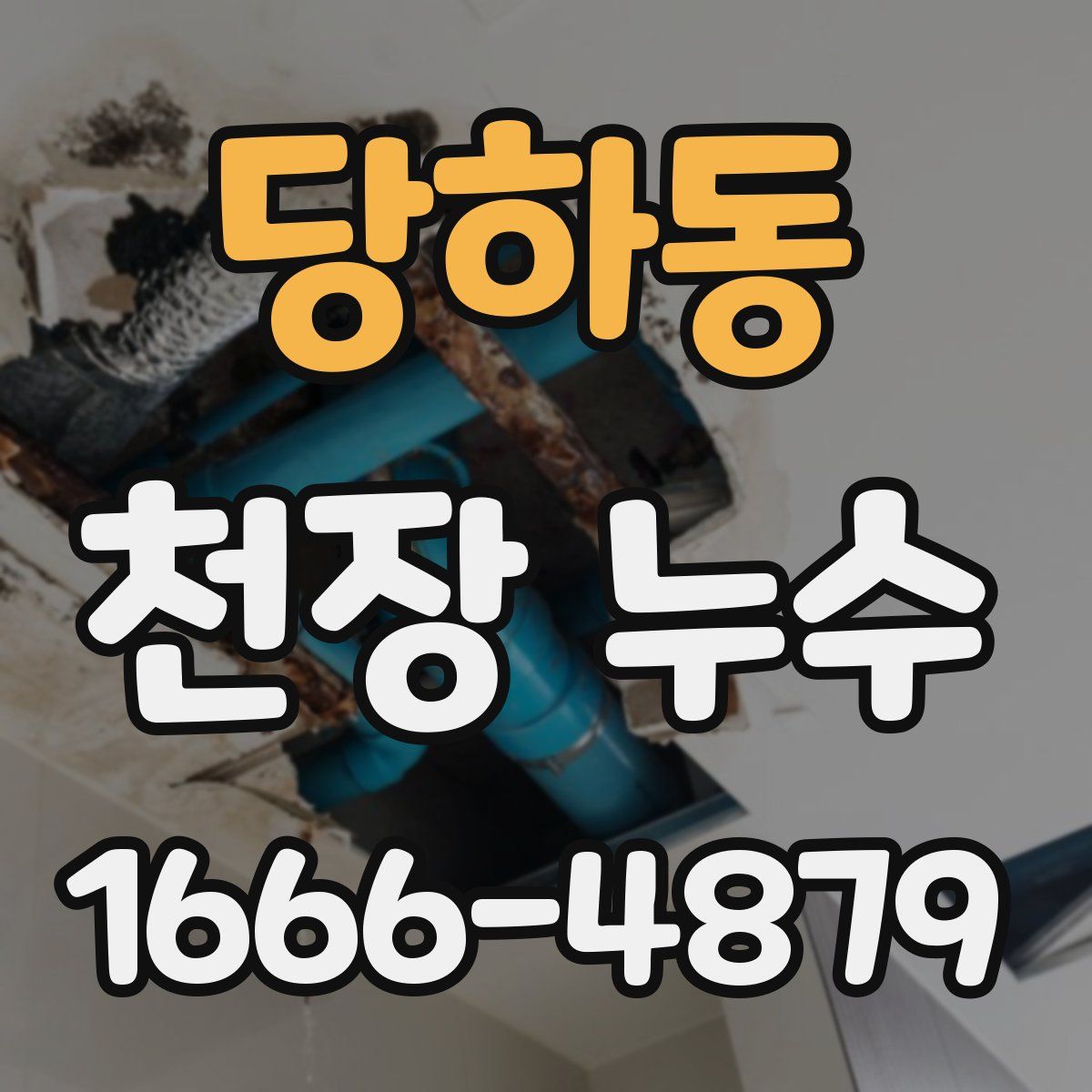 당하동 천장 누수