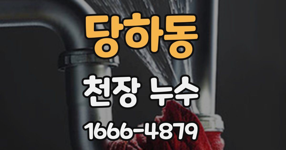 당하동 천장 누수