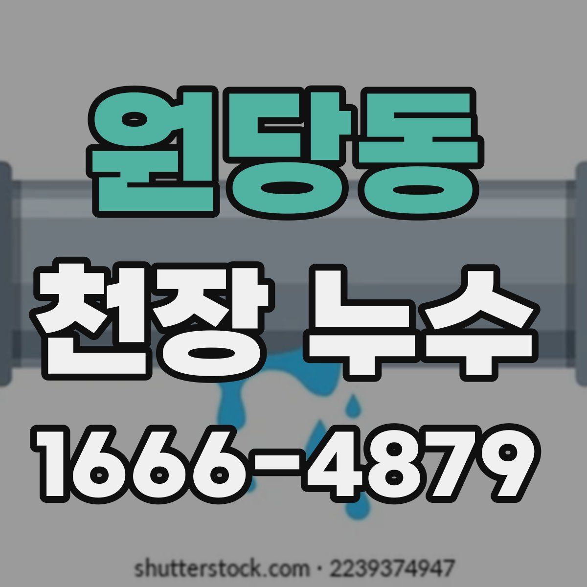 원당동 천장 누수