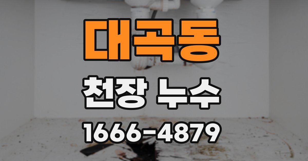 대곡동 천장 누수