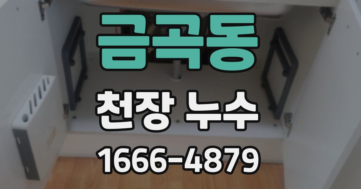 금곡동 천장 누수