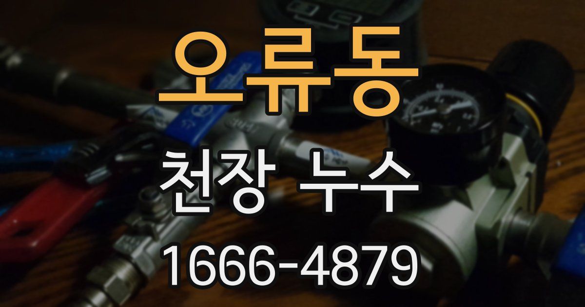 오류동 천장 누수